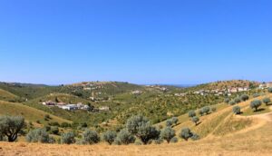 Olive Heritage: Explore Alentejo’s Rich Olive Route