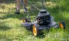 Grass Cutting Services in Montacute: Expert Tips and Choices