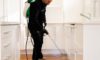 DIY Pest Control: The Superiority of Professional Solutions