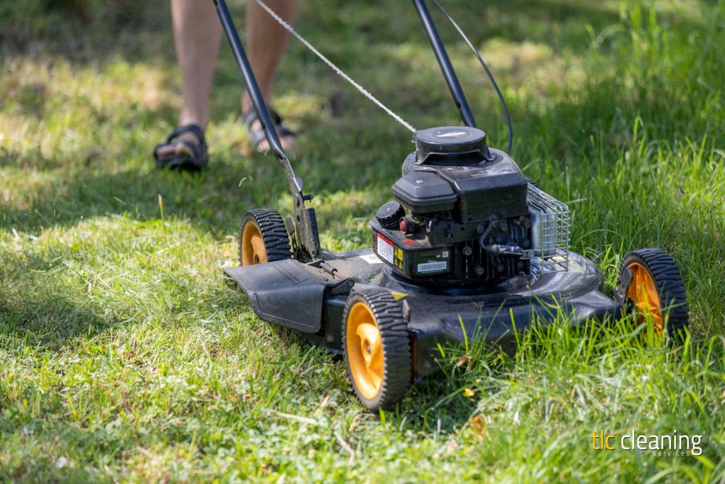 Grass Cutting Services: Key Tips for Yeovil Gardens