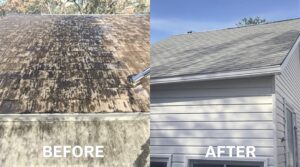 Explore the Essential Benefits of Soft Washing for Complete Home Maintenance