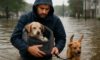 Pet Safety Measures: Key Tips for Flood Evacuations