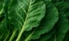 Collard Greens Recipe for a Nutritious Slow-Cooked Meal