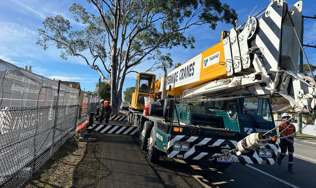Crane-Assisted Tree Removal: Edgeworth Case Study