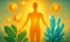 Clean Energy Supplements: Boost Your Energy with Smart Choices